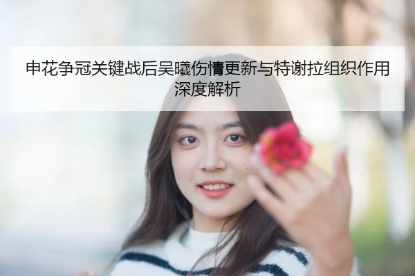 申花争冠关键战后吴曦伤情更新与特谢拉组织作用深度解析